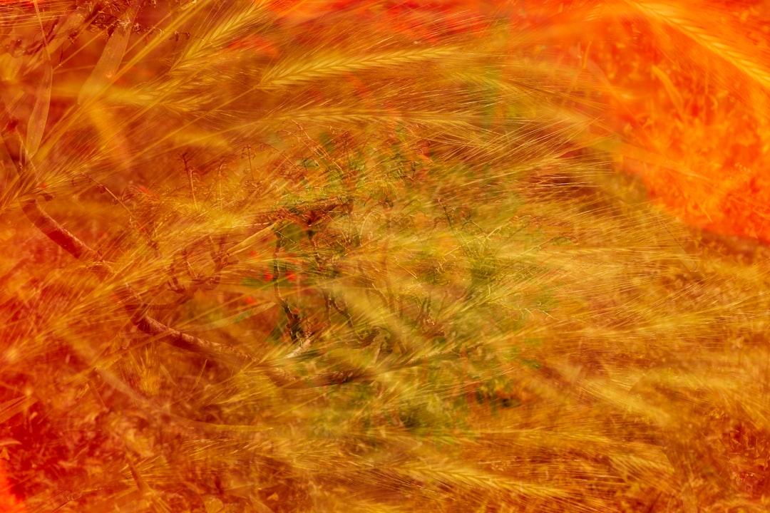 Retina Specialist Intake Form Retina Specialist Intake Form